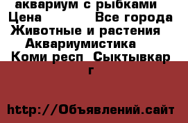 аквариум с рыбками › Цена ­ 1 000 - Все города Животные и растения » Аквариумистика   . Коми респ.,Сыктывкар г.